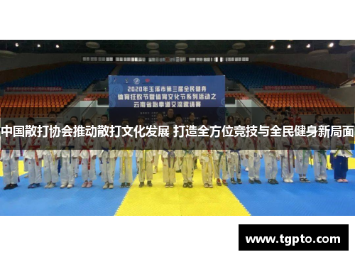 中国散打协会推动散打文化发展 打造全方位竞技与全民健身新局面