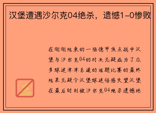 汉堡遭遇沙尔克04绝杀，遗憾1-0惨败